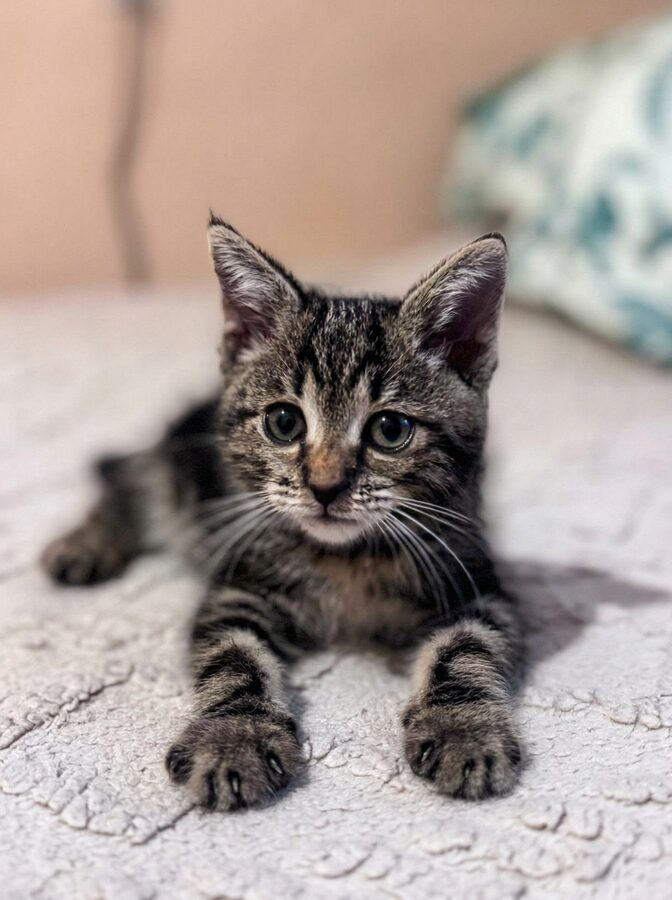 Малыш Билли